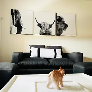 Casa Huesped V En El Corazon De La Ciudad, A Una Cuadra De Peatonal, Con Parking Privado A 100 Metros! , Mendoza Argentina